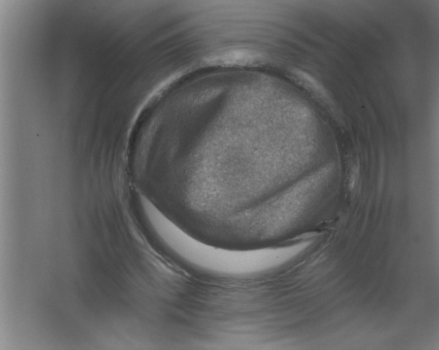 X0000067460392200604281834