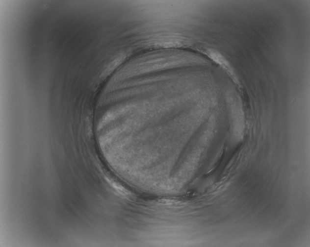 X0000067460393200604281833