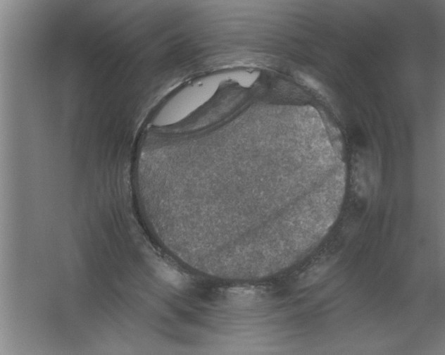 X0000067460394200604281833