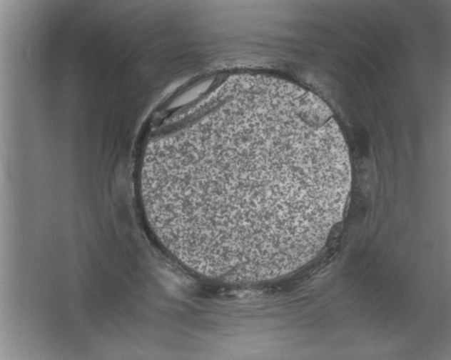 X0000067460395200604281833