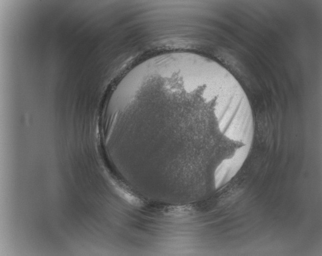 X0000067460398200604281833