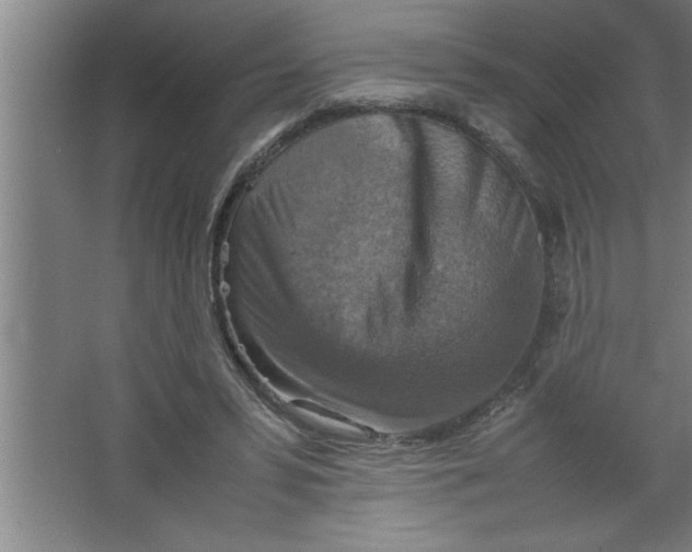 X0000067460399200604281833