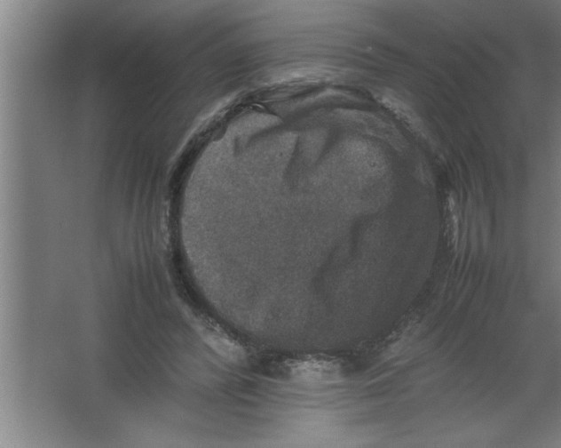 X0000067460400200604281833