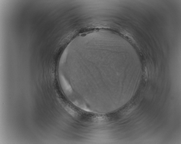 X0000067460402200604281833