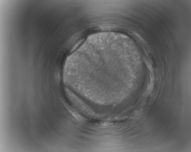 X0000067460405200604281833