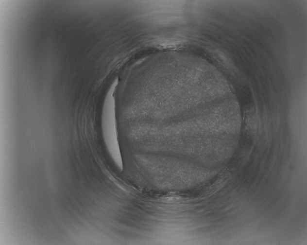 X0000067460408200604281833