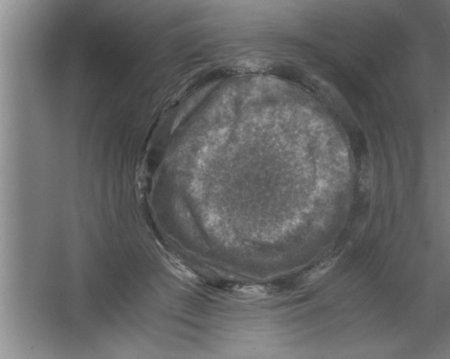 X0000067460409200604281833