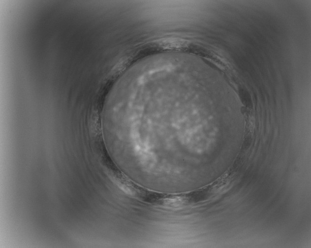 X0000067460411200604281833