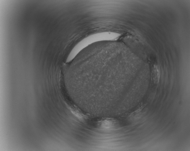 X0000067460412200604281833