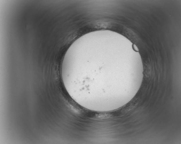 X0000067460414200604281833