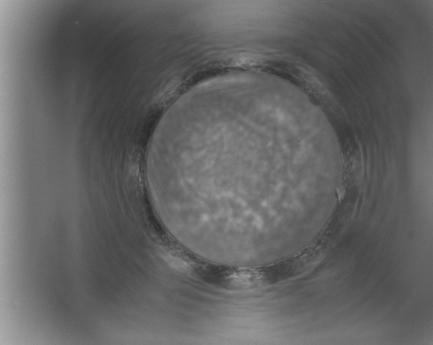 X0000067460415200604281833