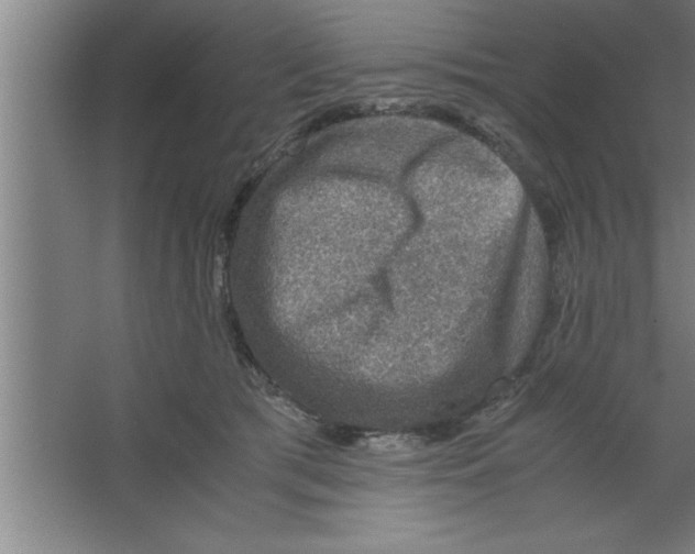 X0000067460417200604281833