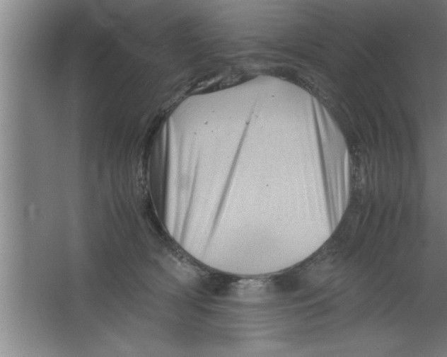 X0000067460418200604281833