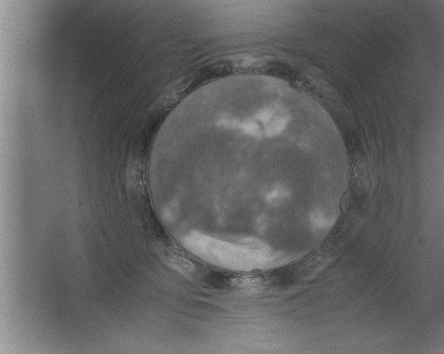 X0000067460419200604281833