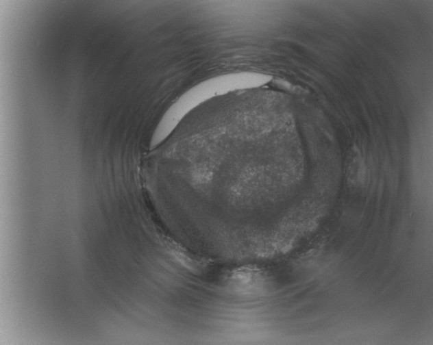 X0000067460420200604281833