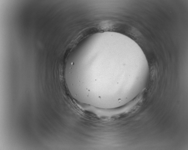 X0000067460421200604281833