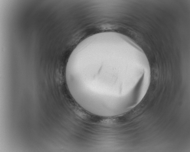 X0000067460422200604281833