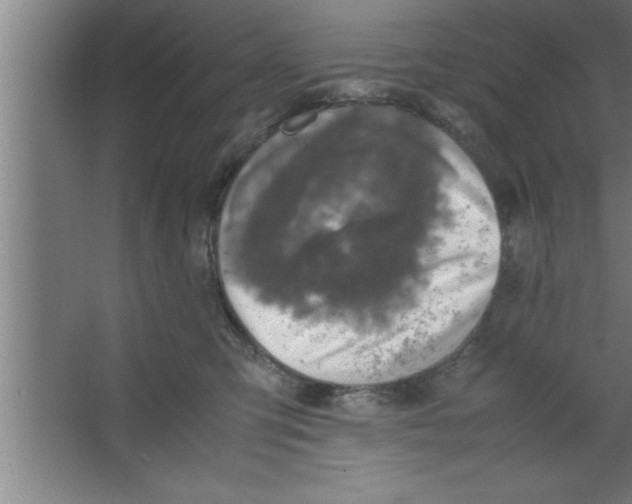 X0000067460423200604281833