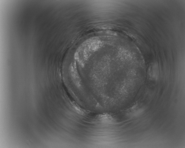 X0000067460424200604281833