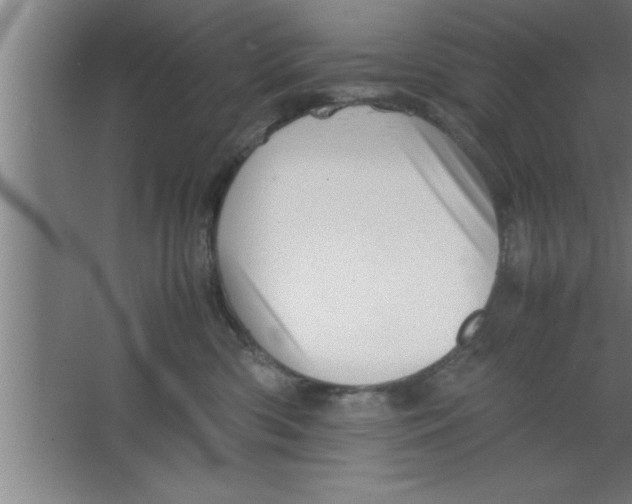 X0000067460426200604281833