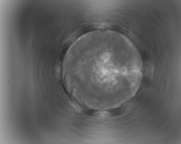 X0000067460427200604281833