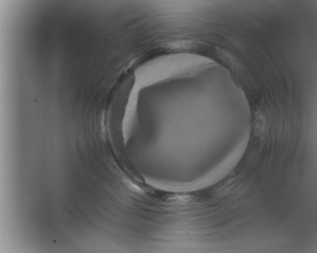 X0000067460428200604281833