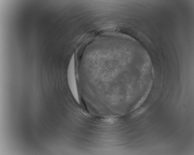 X0000067460432200604281833