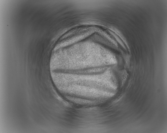 X0000067460433200604281832