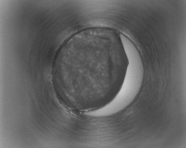 X0000067460434200604281832