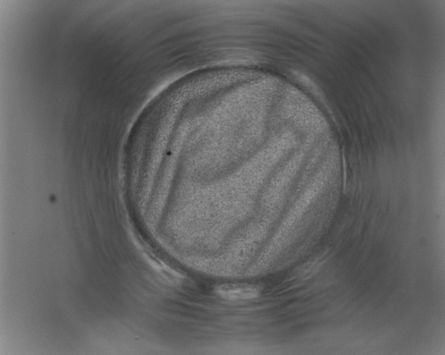 X0000067460435200604281832