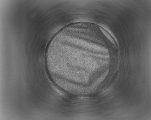 X0000067460437200604281832