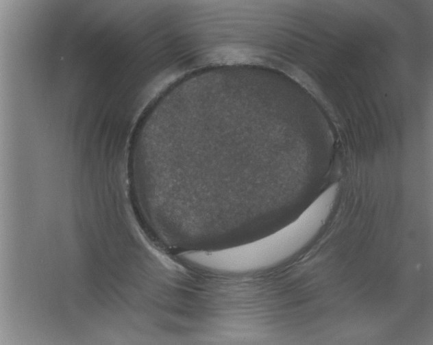 X0000067460438200604281832