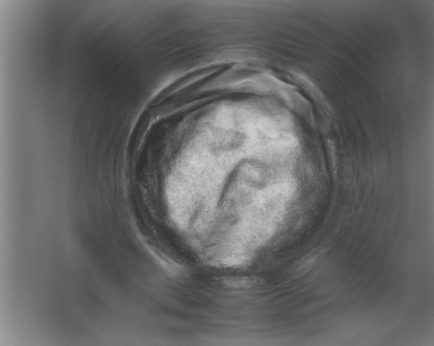 X0000067460439200604281832