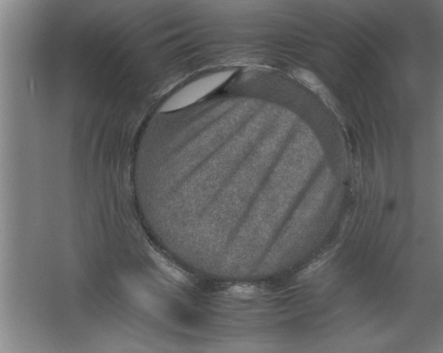 X0000067460441200604281832