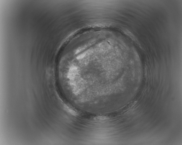 X0000067460444200604281832