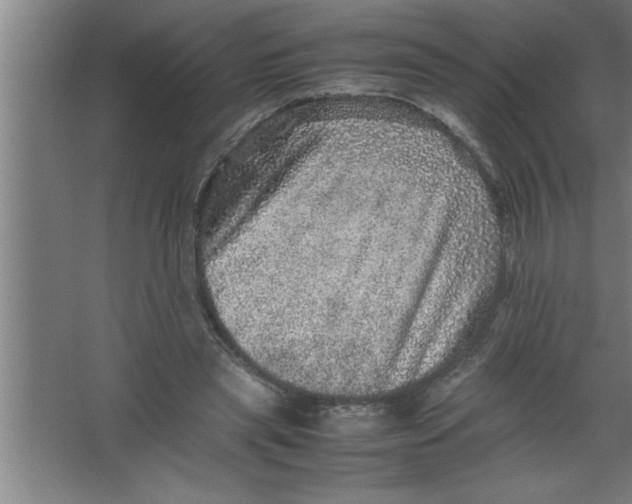 X0000067460445200604281832