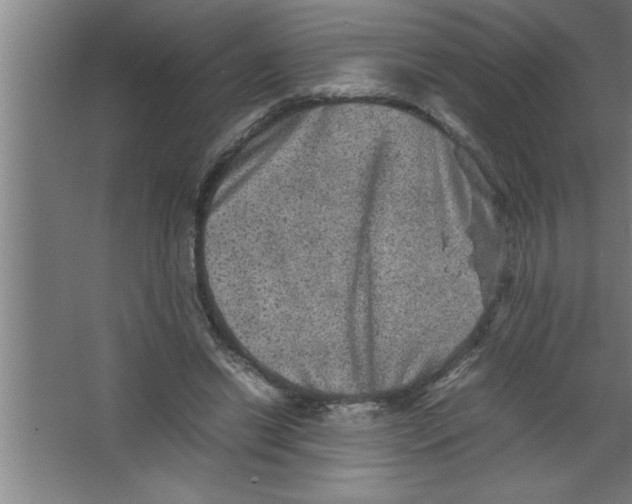 X0000067460446200604281832