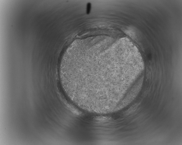 X0000067460453200604281832