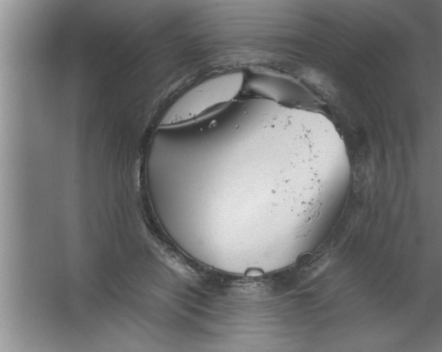 X0000067460454200604281832