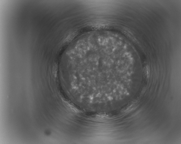 X0000067460458200604281832