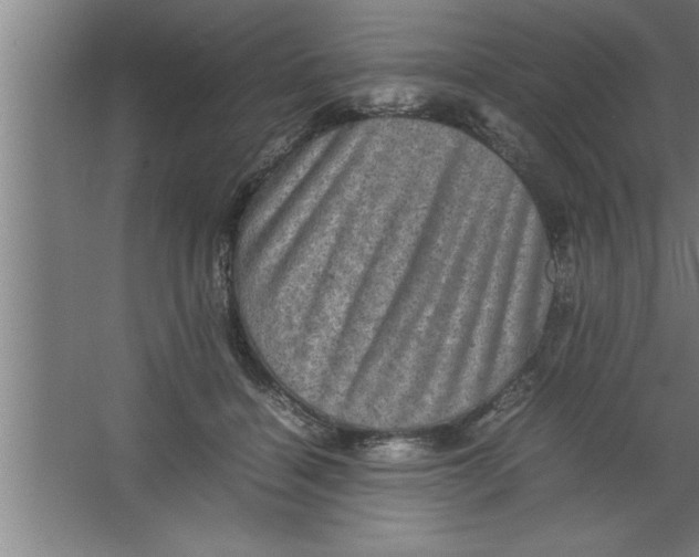 X0000067460460200604281832