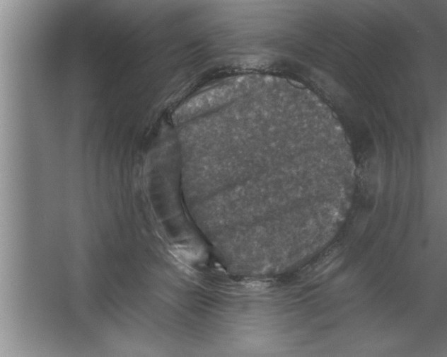 X0000067460462200604281833