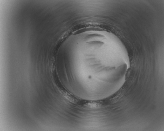 X0000067460464200604281833