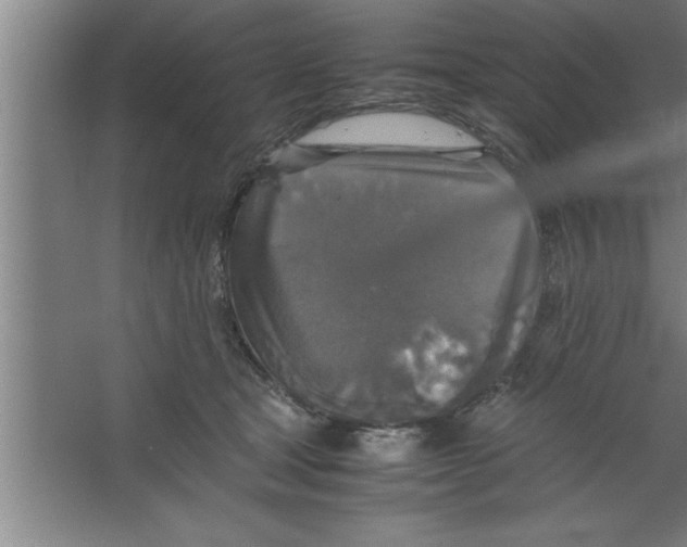 X0000067460465200604281833