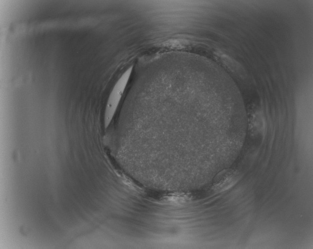 X0000067460466200604281833