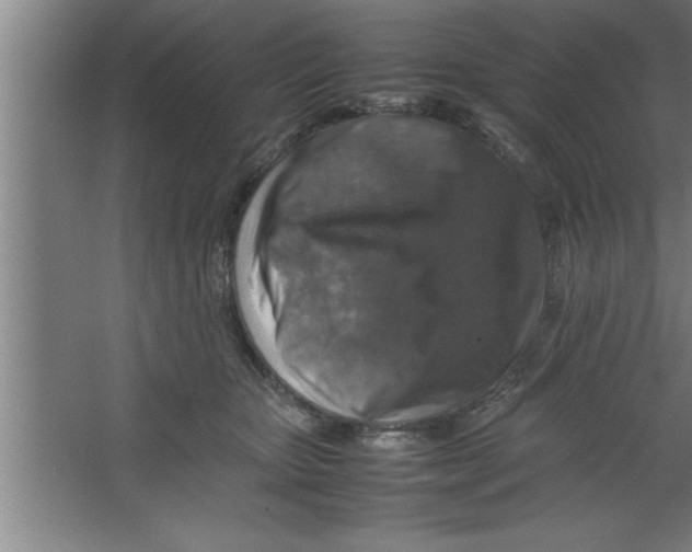 X0000067460467200604281833