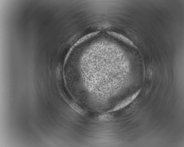 X0000067460468200604281833