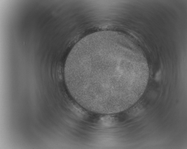 X0000067460470200604281833