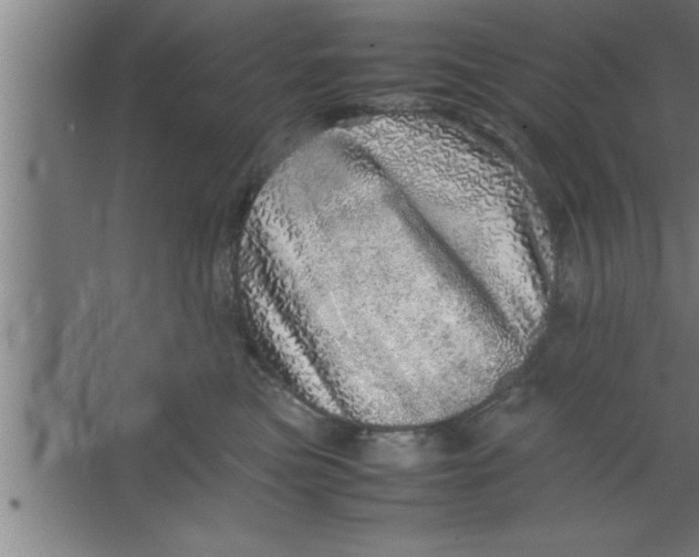 X0000067460473200604281833