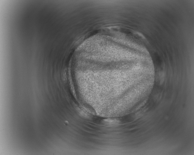 X0000067460477200604281833